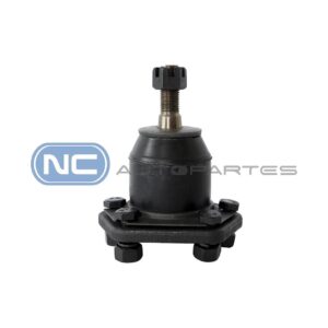 ROTULA SUP